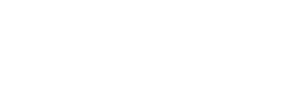 BERTA GROUP